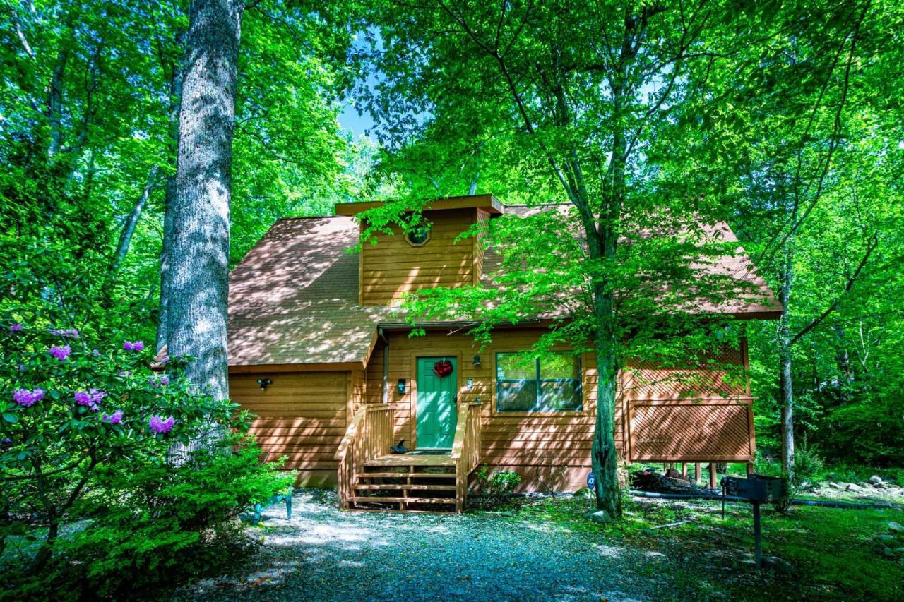 Bear Footin' On The Creek Villa Gatlinburg Eksteriør billede