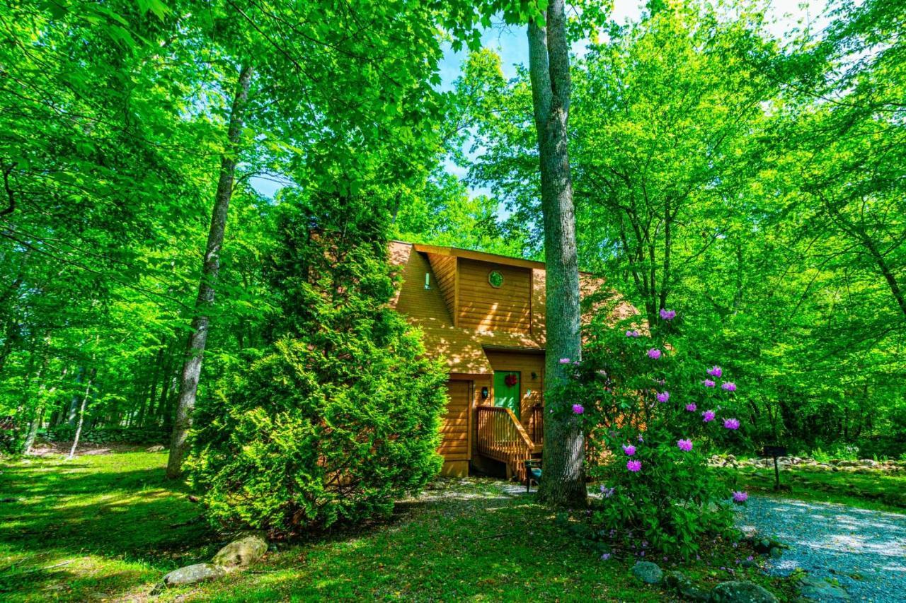 Bear Footin' On The Creek Villa Gatlinburg Eksteriør billede